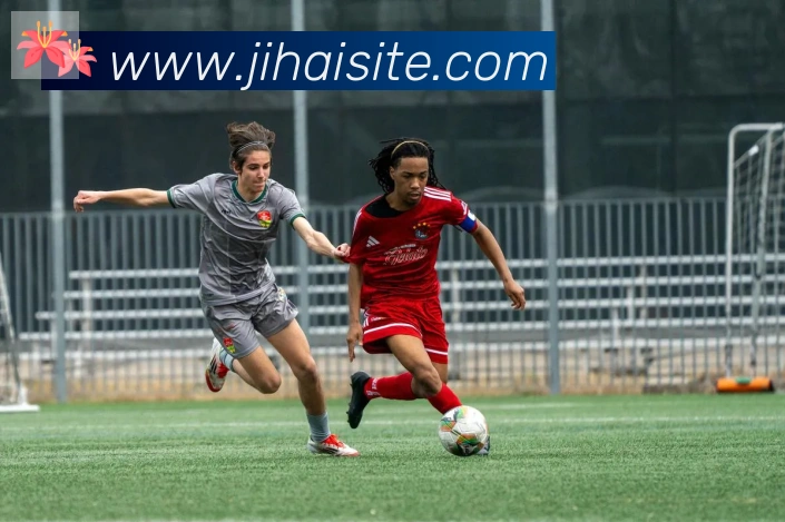 即嗨体育平台生态图