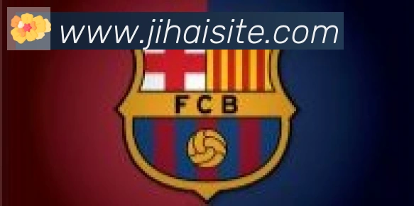 即嗨体育合作伙伴