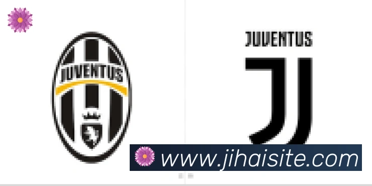 即嗨体育合作伙伴