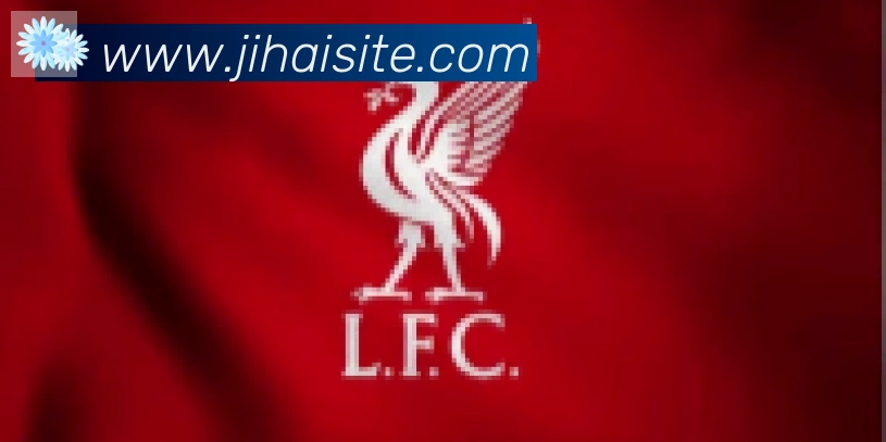 即嗨体育合作伙伴